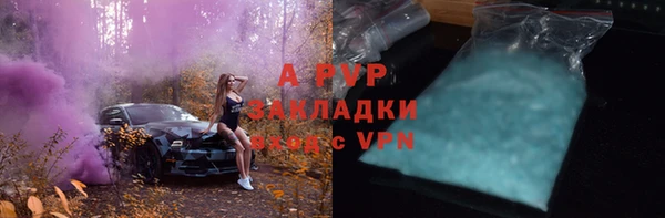 эйфоретик Беломорск