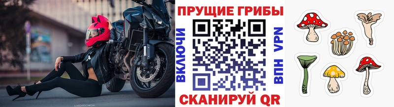 Псилоцибиновые грибы мицелий mega онион Короча